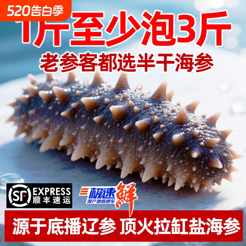 大连优质辽刺参半干海参拉缸盐海参非即食高泡发高营养