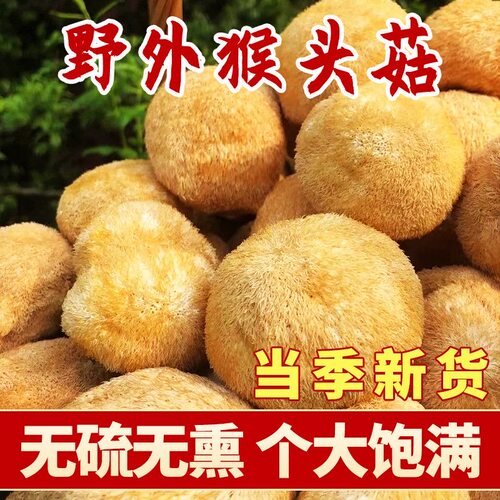 东北长白山猴头菇煲汤干货
