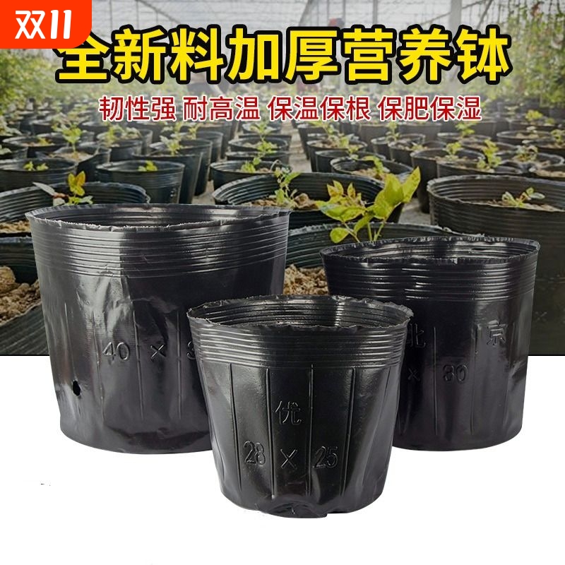 育苗杯加厚塑料|超7000次加购