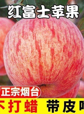 正宗山东烟台红富士苹果新鲜水果9斤当季整箱栖霞脆甜苹果10包邮