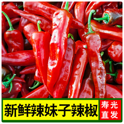 新鲜红辣妹子剁椒辣椒酱原料