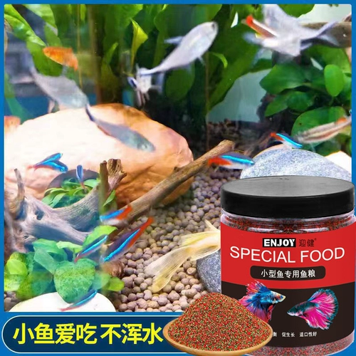 Мелкая рыба-частица кормит тропических рыб.