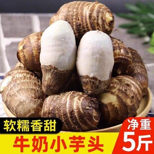 正宗新鲜牛奶芋头小香芋新鲜现挖小毛软糯香滑农家新鲜蔬菜