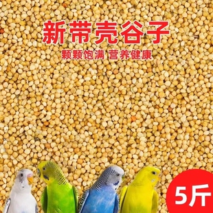 黄谷子带壳小米布施粮文鸟玄凤虎皮牡丹鹦鹉鸟粮鸟食饲料5斤混合