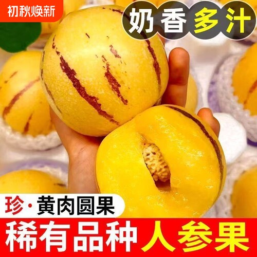 云南石林人参果新鲜水果树上熟七彩黄肉圆果人生果
