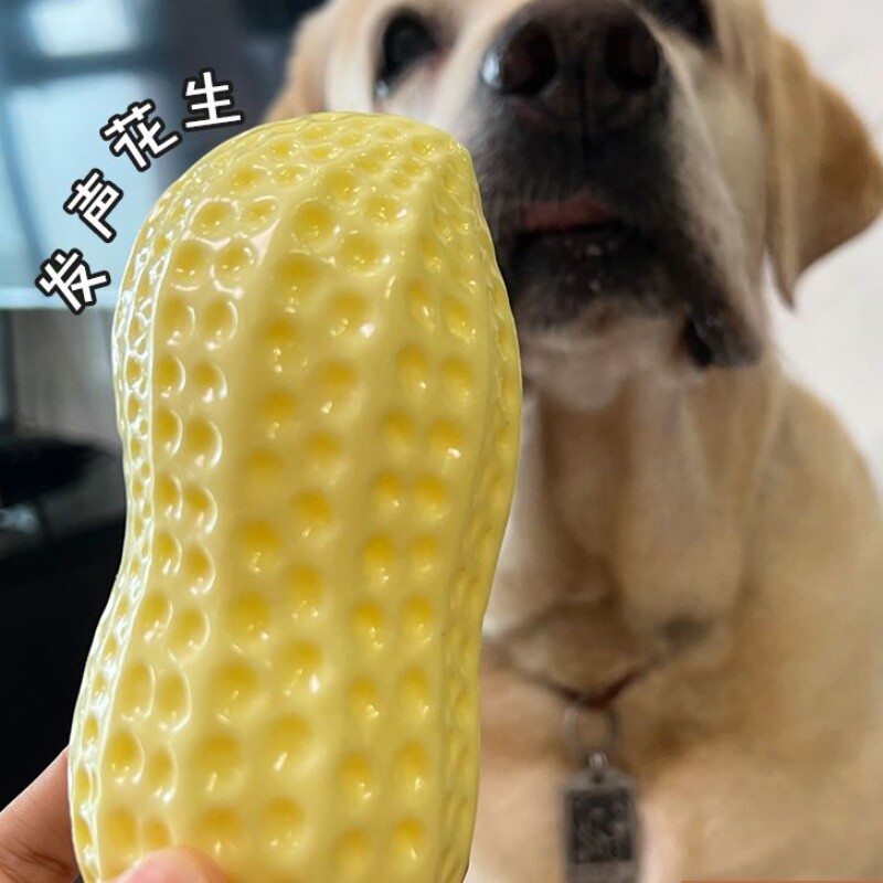 宠物狗发声玩具拉布拉多洁齿耐咬磨牙橡胶花生小型犬互动训练