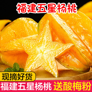 包邮 红扬桃五角星阳桃现摘整箱 福建漳州甜杨桃5斤新鲜水果应当季