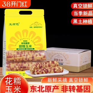 东北花糯玉米真空包装软糯香甜减脂代餐主食轻食粗粮农场直发