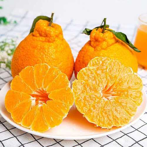 四川丑橘水果新鲜当季桔子耙耙粑粑丑柑橘子