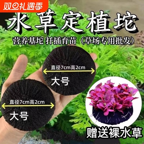 水草坨基泥坨水草营养土鱼缸龟缸专用水草泥沉底种植定植水草造景