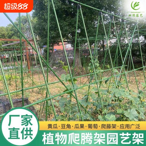 豆角黄瓜爬藤架种菜架子庭院葡萄架包塑钢管植物支架户外攀爬架子