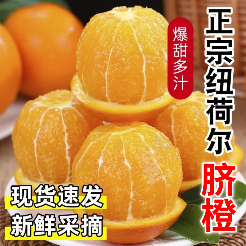 正宗高山纽荷尔脐橙鲜甜多汁