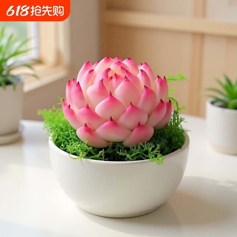 法兰西玫瑰多肉系冰边植物花卉桃蛋玉露精品老桩水晶九尾狐阳台