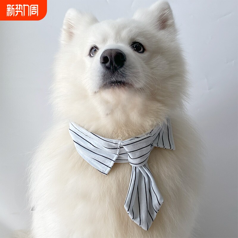 宠物狗狗白色黑线领结萨摩耶拉布拉多大中小型犬领巾领结拍摄装饰