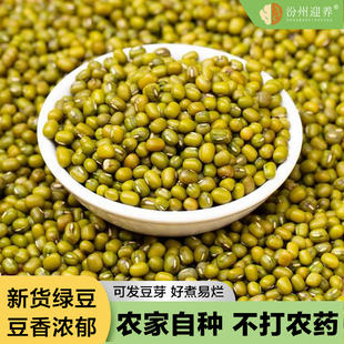 山西绿豆新货农家自产小绿豆去皮脱皮绿豆糕饼绿豆汤材料新鲜豆芽