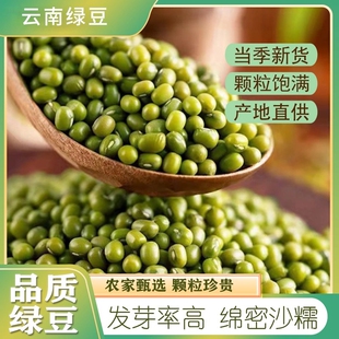 东北绿豆新货农家自产小绿豆 五谷杂粮 可发芽粮油绿豆汤粥原材料