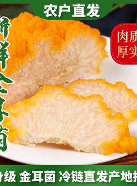 新鲜金耳菌农户直发顺丰次日达