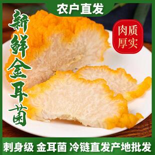 金耳新鲜菌菇黄耳菌菌云南特产野生食用菌菌美味刺身
