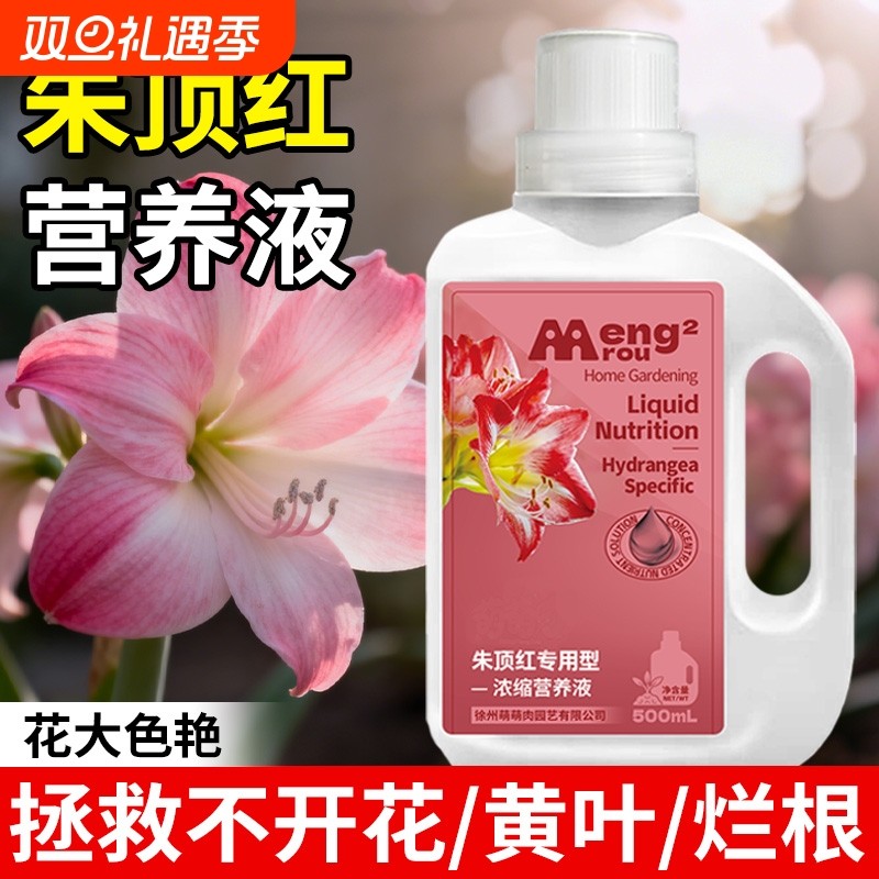 朱顶红营养液专用肥料室内盆栽植物富贵花促开花爆盆开花肥氮磷钾