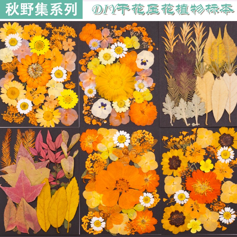 DIY干花压花植物标本真花叶子手工书签相框材料材料包树叶绣球