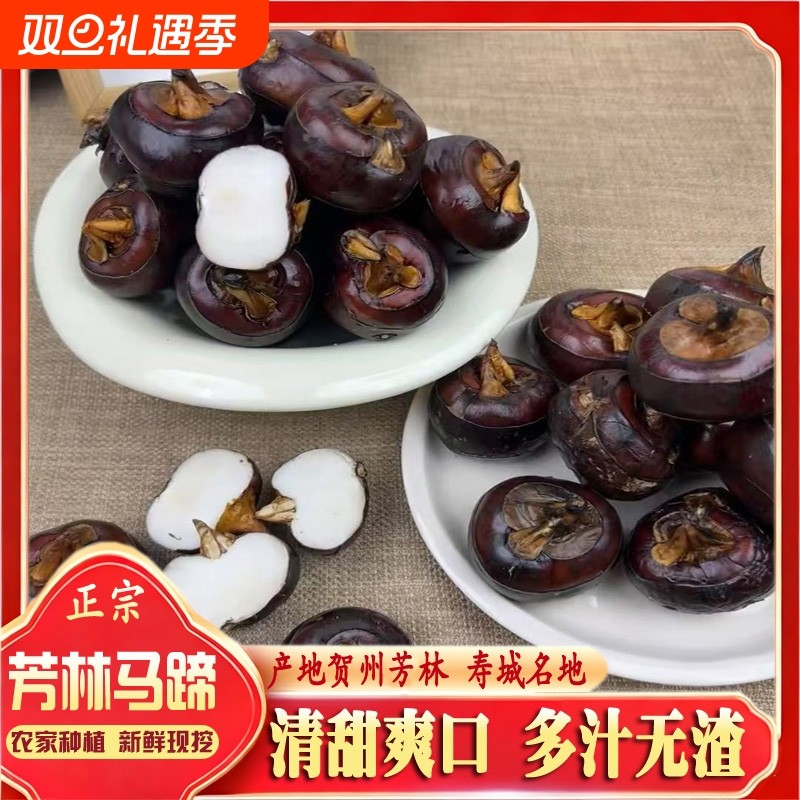 广西荔浦马蹄无渣特大果新鲜现挖红皮水果马蹄荸荠当季水果即食