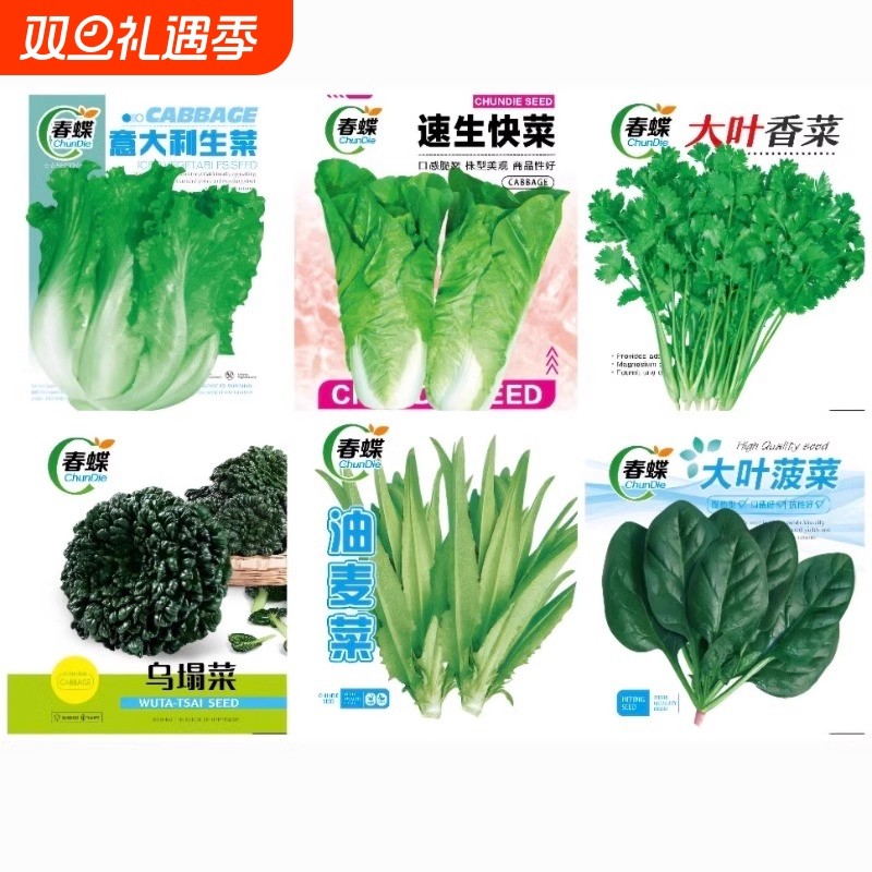 蔬菜种子四季播盆栽黄瓜春易种籽孑大全菠菜番茄菜心草莓茴香白菜