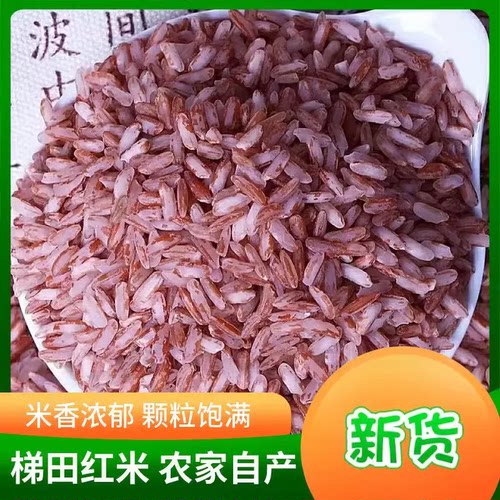 红米新米云南正宗梯田红软米五谷杂粮新鲜农家自种礼物新货食用