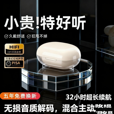德国2025新款蓝牙耳机无线入耳式降噪超长续航运动学生高音质通用