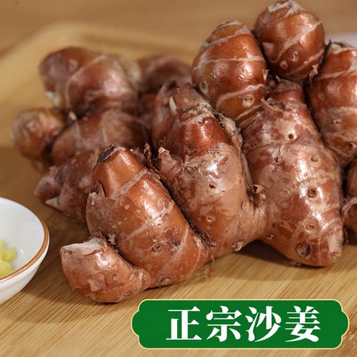 正宗新鲜沙姜包邮广东茂名本地一级生砂姜白切鸡椰子鸡蘸料调配料