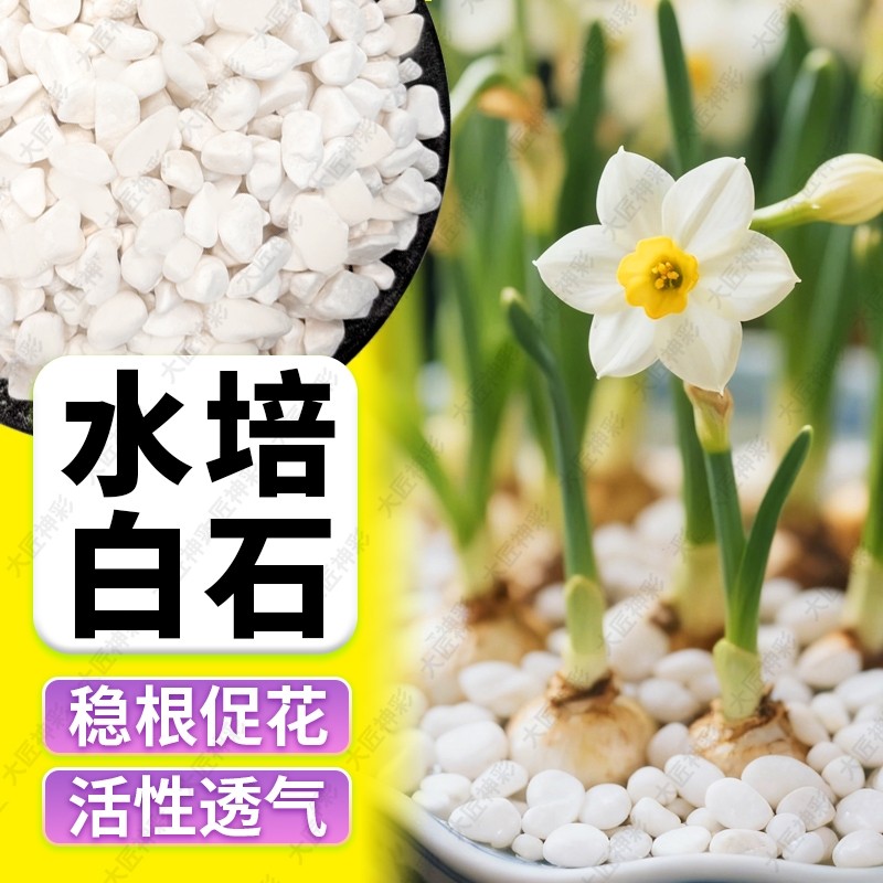 【水培石】白色石子多肉铺面石鹅卵石雨花石鱼缸造景盆栽养花专用,鲜花速递/花卉仿真/绿植园艺,其它园艺用品,淘宝优惠券,粉丝福利购,淘宝优惠卷