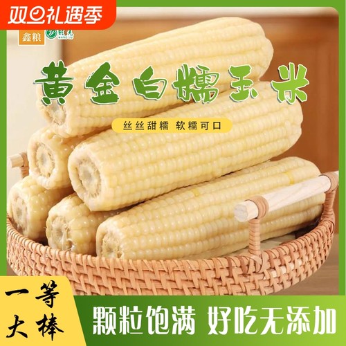 黑龙江白糯玉米8根单棒280g粘玉米素食真空包装甜糯粘大棒