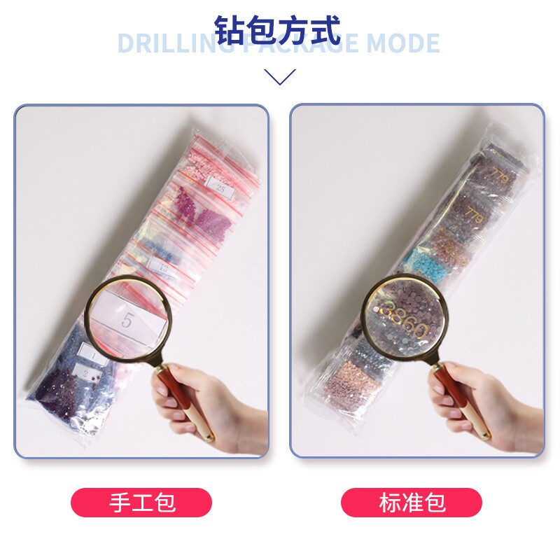 5d动漫少女钻石画diy十字刺绣装饰壁画卧室满钻圆钻砖石画跨境
