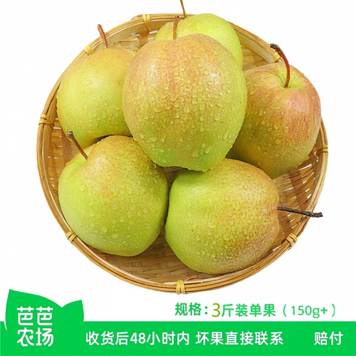 山西玉露香梨！皮薄肉厚