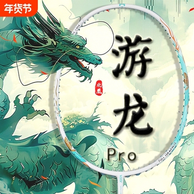 北凰超轻全碳素5U新手学生羽拍