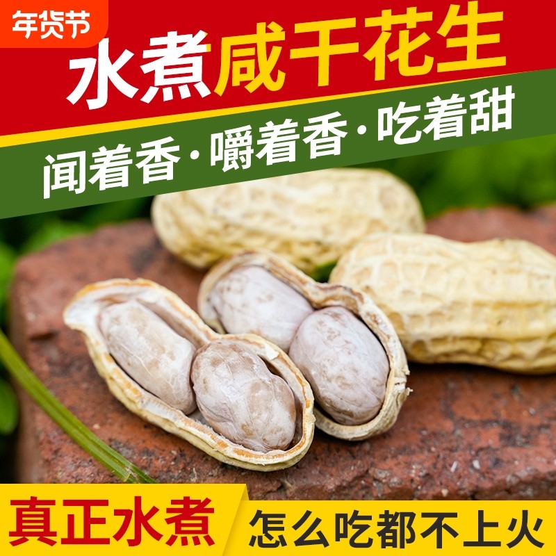 浠涵广东花生蒜香五香咸干多味盐水白晒水煮花生米带壳炒货熟零食