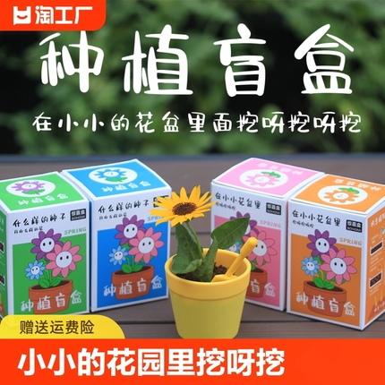 儿童植物小盆栽盲盒幼儿园绿植种植学生奖品diy创意礼品生日礼物