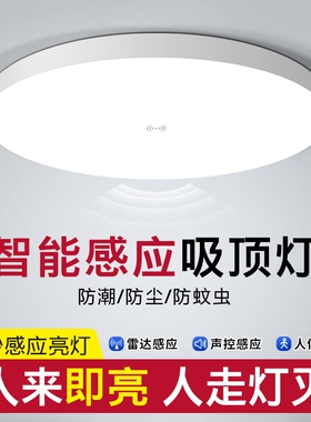 雷达感应led三防吸顶灯过道走廊楼梯灯入户门智能人体自动声控灯