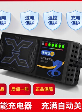 48V电动车充电器适用爱玛雅迪