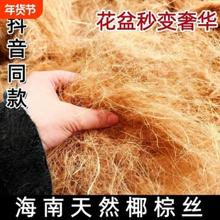 进口园艺椰丝铺面花盆填充物盆栽装饰植物种花椰棕丝盆景铺盖面草