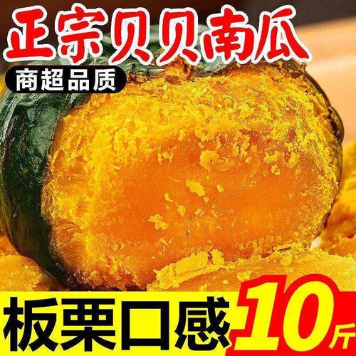 山东贝贝南瓜正宗板栗味小南瓜
