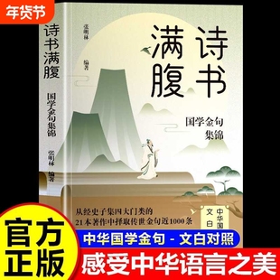 诗书满腹国学金句集锦当白话文遇见古诗文古译高情商话术的语言充满文化底蕴告别词穷学会的提升之道正版书籍经典有诗诗词清雅表达