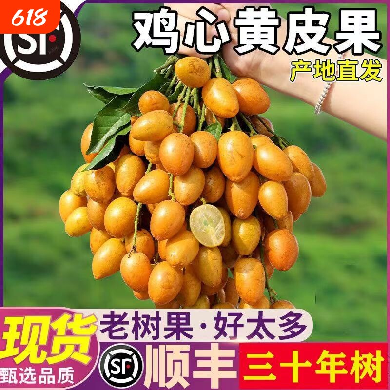 【顺丰包邮】鸡心贵妃黄皮果新鲜现摘孕妇大果整箱黑黄皮酸甜水果