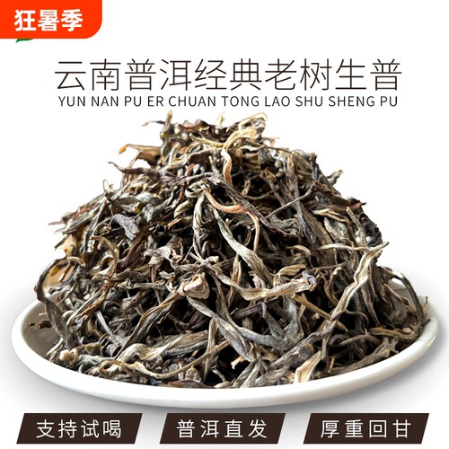 普洱茶头春昔归古树茶生普散茶