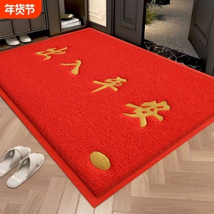 出入平安入户门地垫丝圈防滑门垫进门门口门外脚垫子入户室外地毯