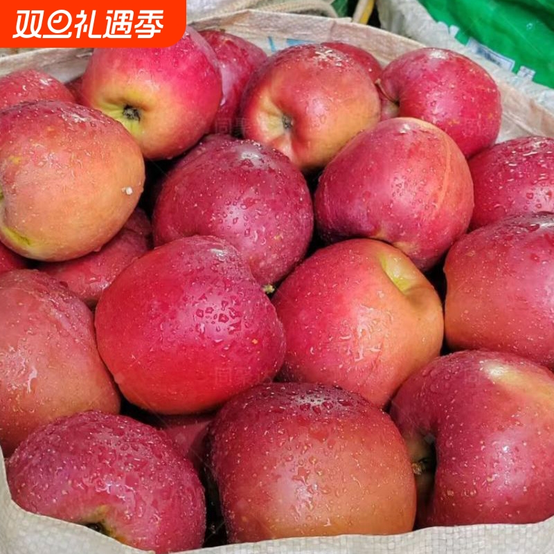 贵州毕节威宁甜脆爽口苹果4.5斤起现摘现发