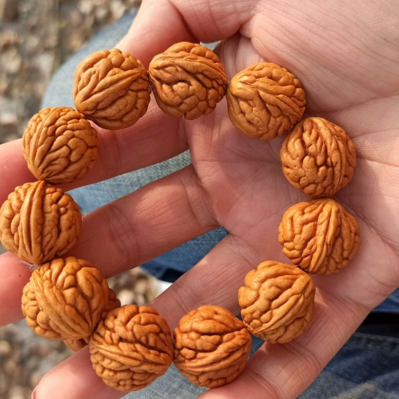 文玩桃核手串 霸王龙刺龙鱼肚磨盘桩刹车片疙瘩龙蟾小众款男盘玩