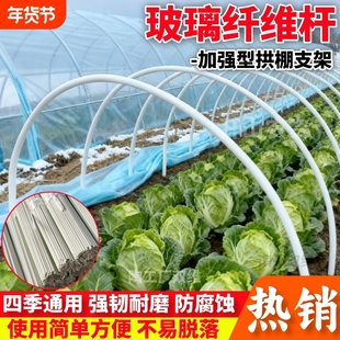玻璃纤维小拱棚支架弓子型豆角黄瓜架杆农家用蔬菜地搭棚子骨架条