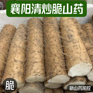 襄阳清炒脆山药新鲜粗大山药菜山药新鲜现挖九斤黄山药非铁棍山药