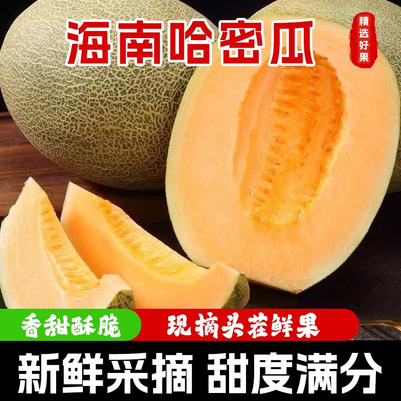 正宗海南哈密瓜新鲜水果当季脆甜网纹瓜西州蜜香瓜老汉瓜整箱