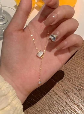 小蛮腰项链女轻奢小众高级感2024年新款简约百搭锁骨链潮流苏镀金